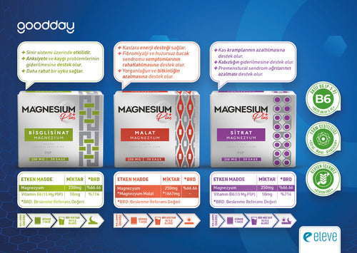 GOODDAY MAGNESIUM PLUS M (Mg.  MALAT) 30 SAŞE