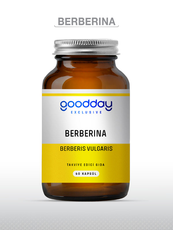 GOODDAY BERBERİNA KAPSÜL 60 KAPSÜL