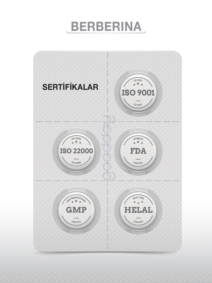 GOODDAY BERBERİNA KAPSÜL 60 KAPSÜL