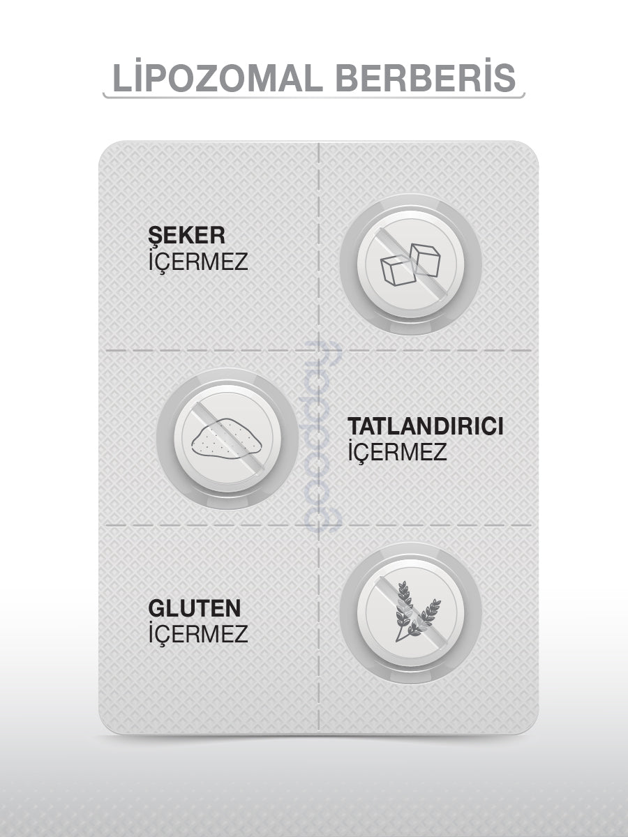 LİPOZOMAL  BERBERİS 30 TABLET