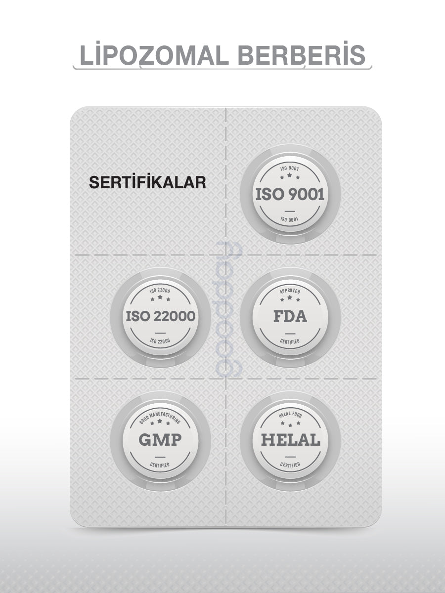 LİPOZOMAL  BERBERİS 30 TABLET